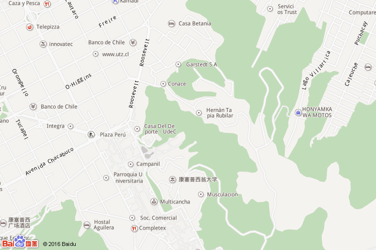 康塞普西翁省地图