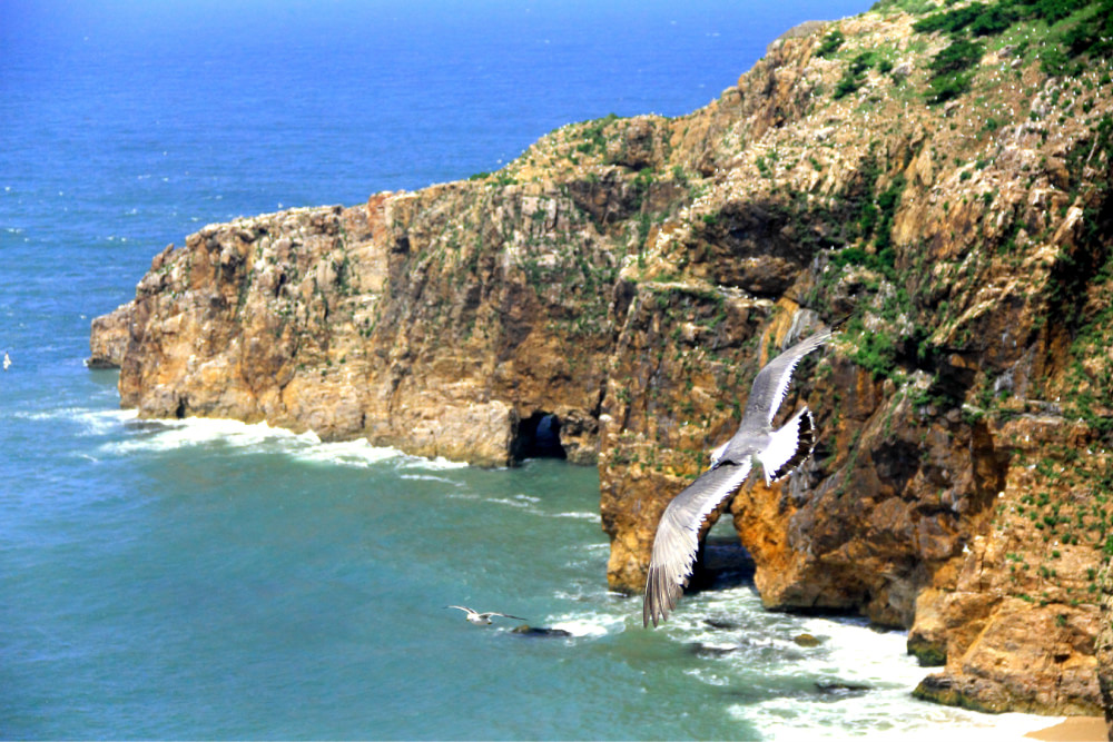 威海海驴岛_威海海驴岛门票_威海海驴岛好玩吗_在途