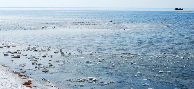 骆马湖湿地