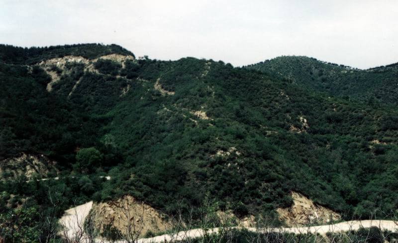 攀枝花大黑山_攀枝花大黑山门票_攀枝花大黑山好玩吗