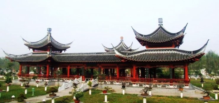 江都> 龙川盆景艺苑